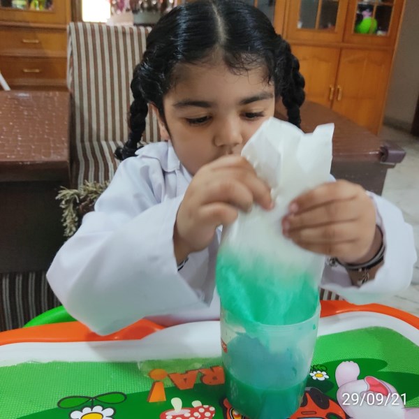 The true method of knowledge is experiment. – Small Wonders School