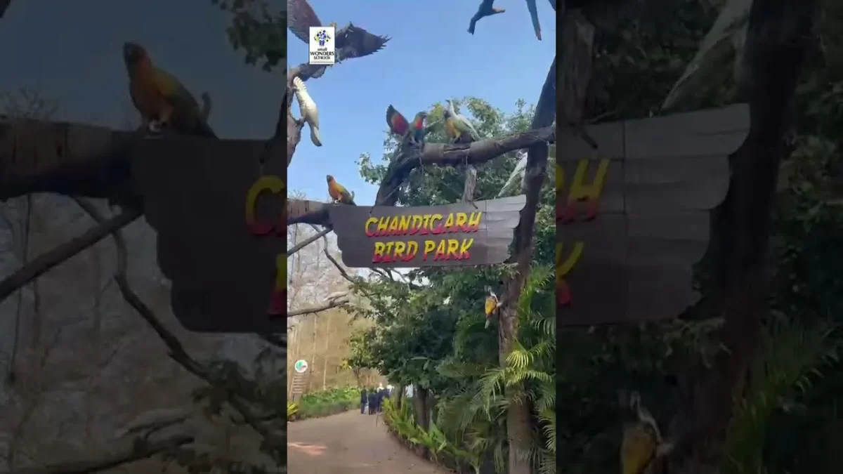 Visit to the Bird Park