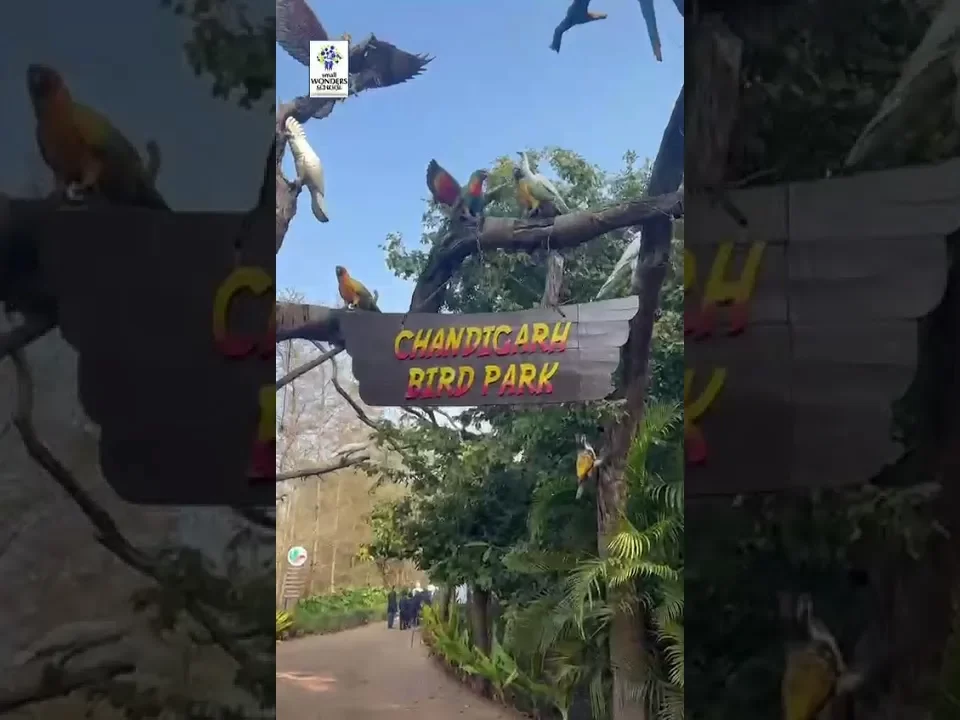 Visit to the Bird Park